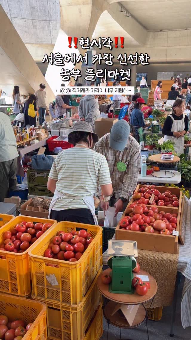 hot_chu 게시물 이미지: [공유] 감성+건강 다 챙기는 플리마켓 발견…🌿
야채값 미쳤어요… 진짜 싸도 너무...