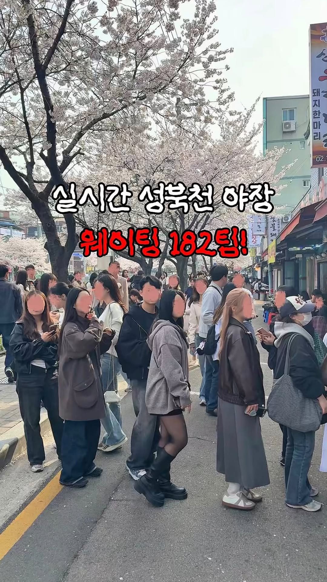 hot_plog_ 게시물 이미지: 내년에 오세요~👋

#성북천 #야장 #성북천야장 #벚꽃 #벚꽃놀이