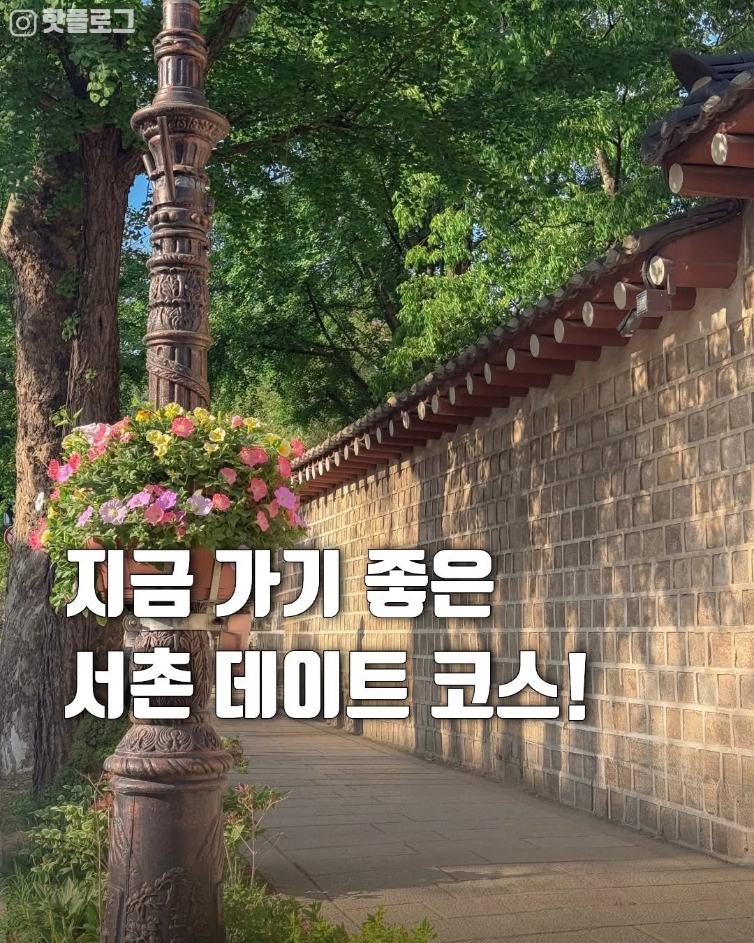 hot_plog_ 게시물 이미지: 서촌의 계절 봄이 왔다!!🌿
(광고 없는 내돈내산 컨텐츠입니다.)

1️⃣...