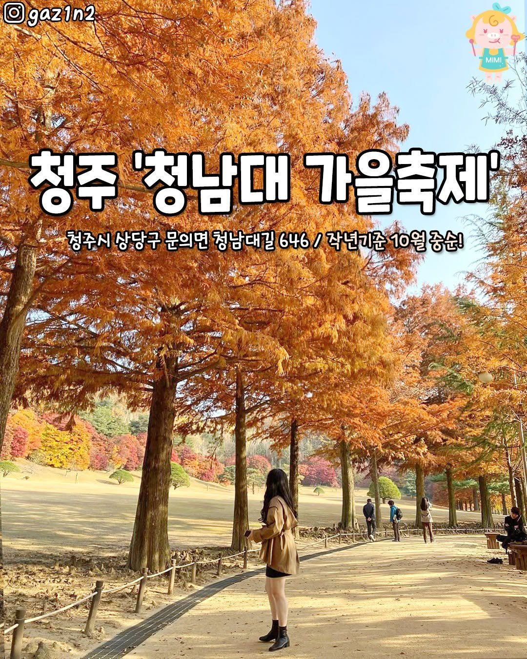 Photo by 청주핫플[청주맛집.청주카페.청주데이트] on September 18, 2025. May be an image of 5 people and text that says 'Ogaz1n2 2 MIMI 청주 '청남대 가을축제' 청주시 상당구 문의면 청남대길 646 작년기준 작년기준10월중순! 중순!'.