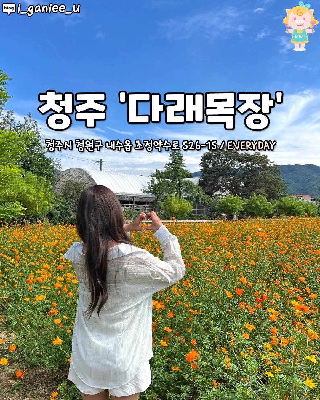 Photo by 청주핫플[청주맛집.청주카페.청주데이트] on September 24, 2025. May be an image of 1 person, baby's-breath and text that says 'blog i_ganiee_u MIMI 청주 '다래목장' 청주시 청원구 내수읍 초정약수로 조정약수로526-15/EVERYDAY 526-15/EVERYDAY す'.