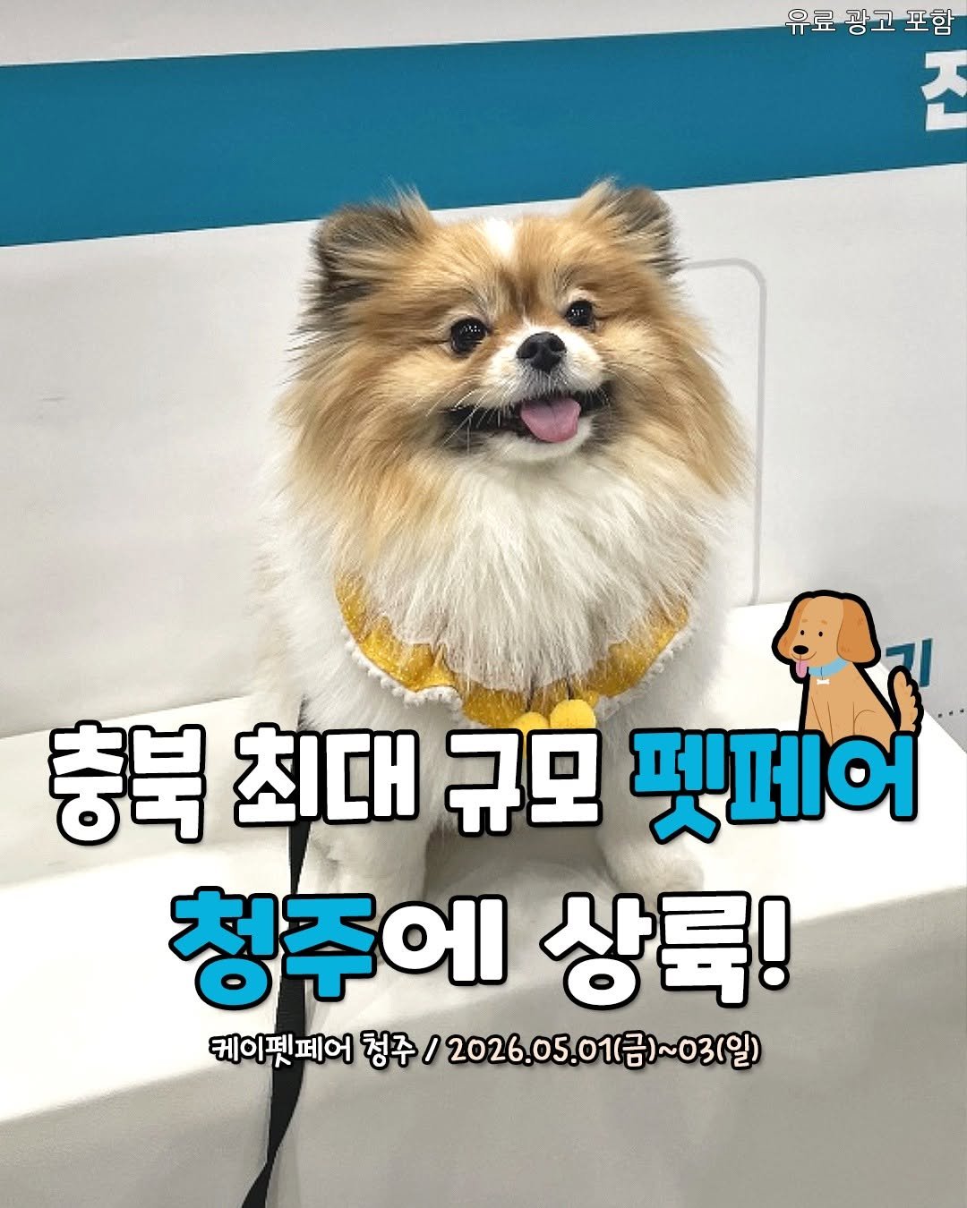 Photo by 청주핫플[청주맛집.청주카페.청주데이트] on April 20, 2026. May be an image of Pekinese, collie and text that says '유료 유료광고포함 광고 포함 존 충북 최대 규모 펫페어 청주에 상륙! 케이펫페어 청주/ 2026.05.011금)~031일) 피야찌페어정주/2026.05.01(1~03일) .05.01 )~03(일) 청주'.