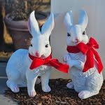 entraforet 프로필 사진