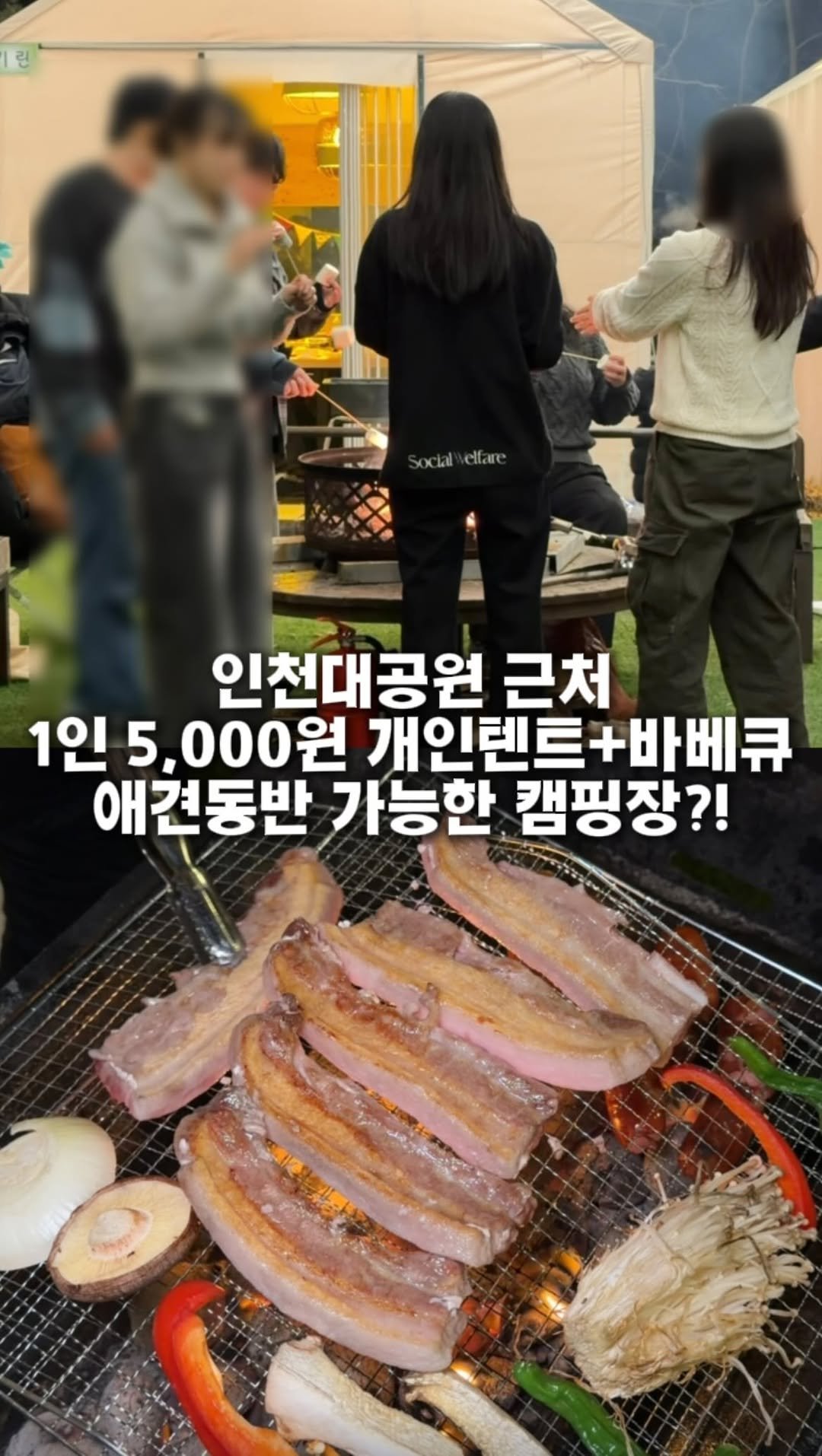 hotdor_s 게시물 이미지: 인천에 이런 캠핑장이 있었어..? @@아 여기 가보자!

여러분 겨울에 캠핑하는게...