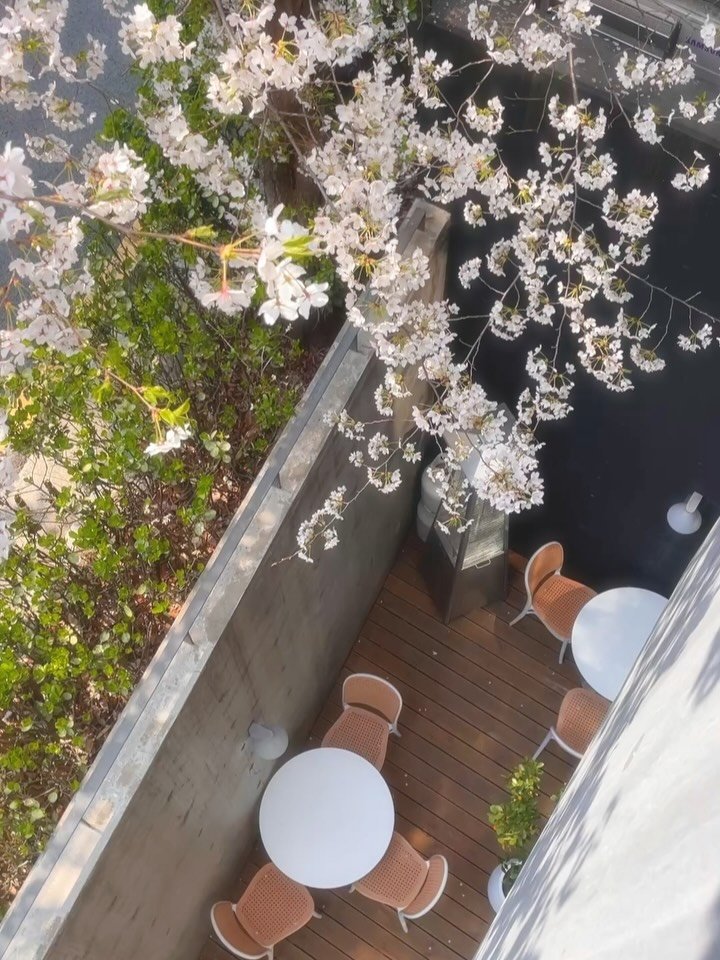 hotel.leebon 게시물 이미지: 벚꽃이 내려앉은 자리, 🌸
봄이 아름다운 이유는 스치듯 지나가는...