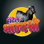 _hotel_bhagayshree_ 프로필 사진