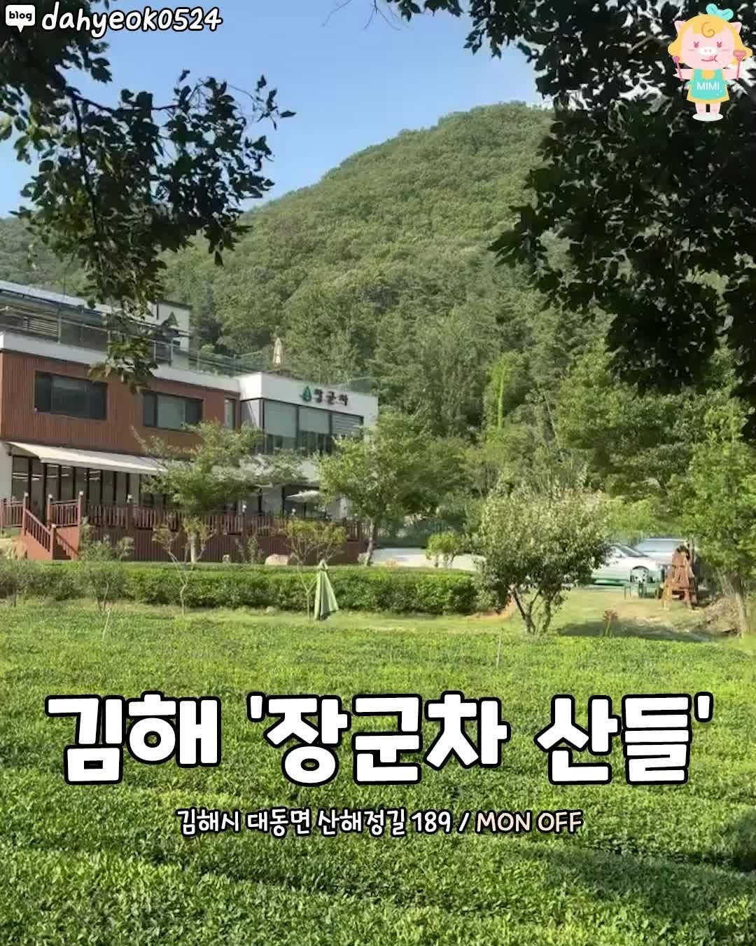 hotgimhae 게시물 이미지: 푸릇한 녹차밭 끝없이 펼쳐진 김해카페🌿
김해에 이런 평화로운 뷰 맛집이?!
자연...