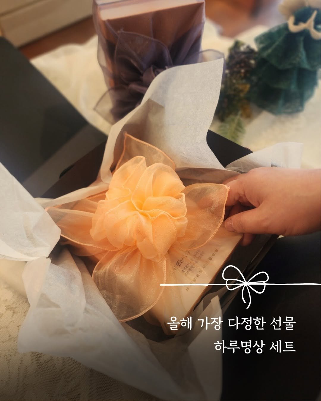 Photo by 서가는 & 생각속의집 | 책으로 나를 돌보는 집 Book Wellness House on November 24, 2025. May be an image of flower arrangement, prairie gentian, baby's-breath, peony, white lily, rose and text that says '올해 가장 다정한 선물 하루명상 세트'.