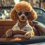 buzzfactory19 프로필 사진