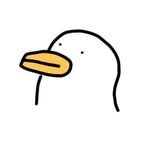 zo5dock 프로필 사진