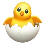 challenge_once 프로필 사진