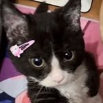 miguk_jjindda 프로필 사진