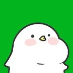 huduck_challenge 프로필 사진