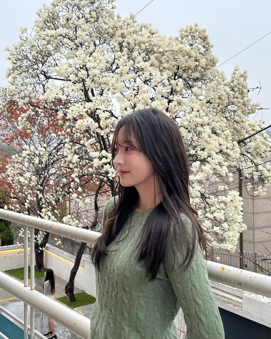 howyuldoing 게시물 이미지: 봄 좋아 꽃 좋아 🤍