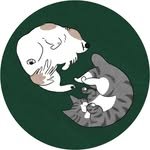 hoya_san 인스타그램 프로필 사진