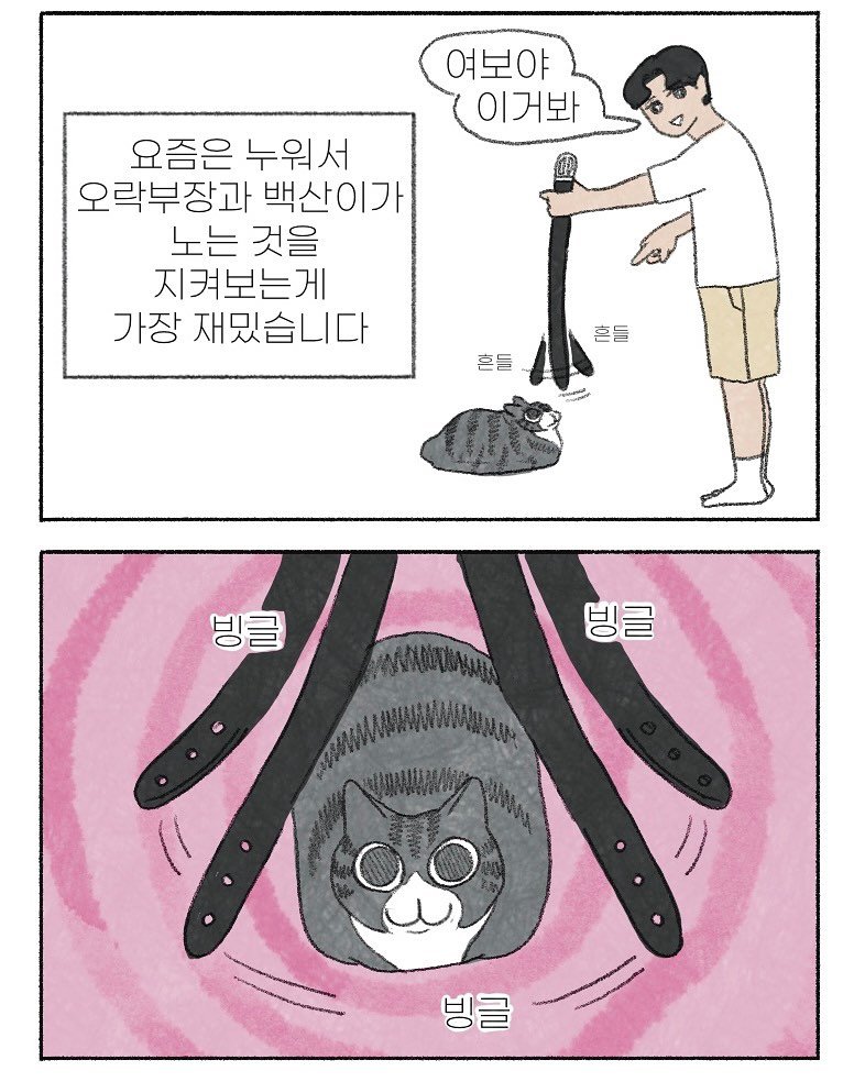 Photo by 이채소와 호백산 on June 21, 2025. May be an illustration of slow loris, hair brush and text that says '여보야 이거봐 요즘은 누워서 오락부장과 백산이가 노는 것을 지켜보는게 가장 재밌습니다 흔들 흔들 빙글 빙글 글 빙글'.