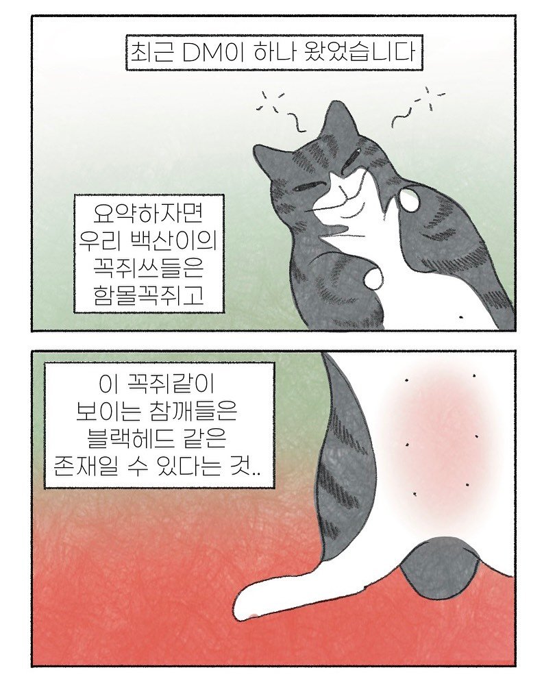 Photo by 이채소와 호백산 on July 13, 2025. May be an illustration of kitten, crossword puzzle, poster and text that says '최근 DMOI 하나 최근DM이하나왔였습니다 왔었습니다 요약하자면 우리 백산이의 꼭쥐쓰들은 함몰꼭쥐고 이 꼭쥐같이 보이는 참깨들은 블랙헤드 같은 존재일 수 있다는 것..'.