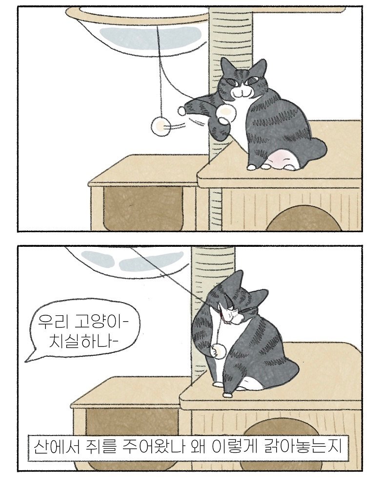 Photo by 이채소와 호백산 on August 14, 2025. May be an illustration of kitten and text that says '우리 고양이- 치실하나- 산에서 쥐를 주어왔나 왜 이렇게 값아놓는지'.