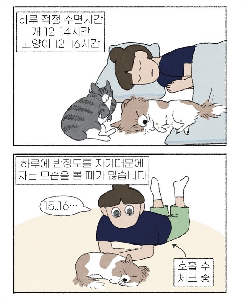 Photo by 이채소 on September 19, 2025. May be an illustration of slow loris and text that says '하루 적정 수면시간 개 12-14시간 고양이 12-16시간 하루에 반정도를 자기때문에 자는 모습을 볼 때가 많습니다 15..16... 호흡수 수 체크중'.