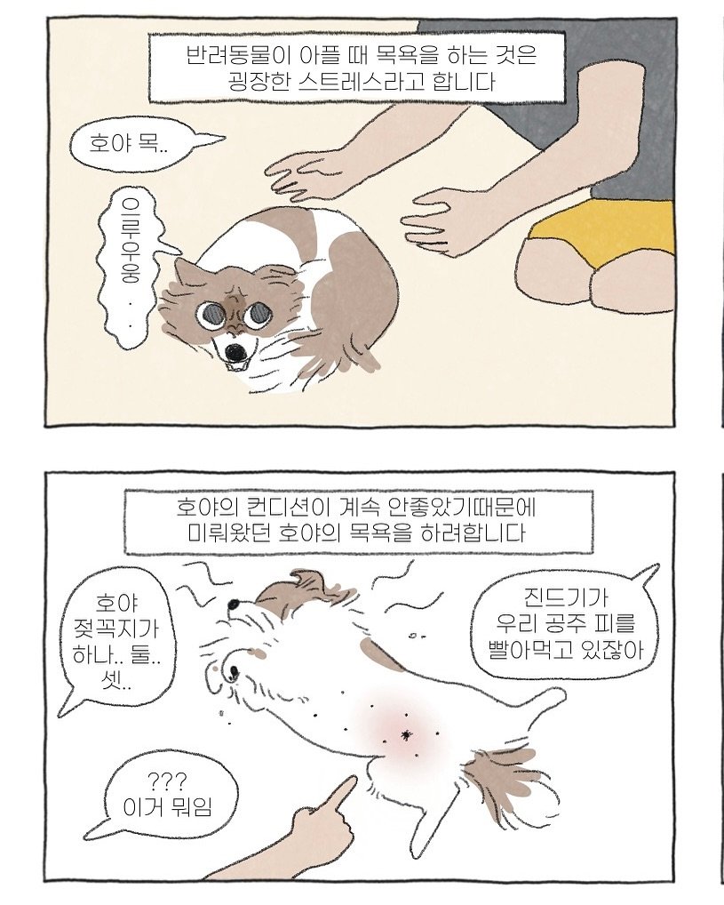 Photo by 이채소와 호백산 on April 27, 2025.