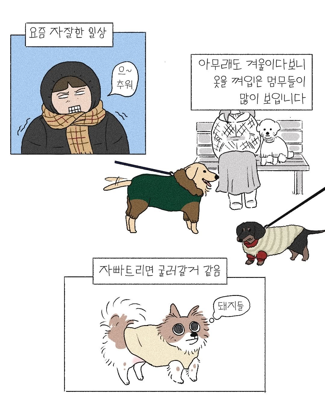 Photo by 이채소 on December 31, 2025. May be pop art of Pekinese, Norwich terrier, poster and text that says '요즘 자잘한 일상 0～ 추워 아무래도 겨울이다보니 옷을 껴입은 멈무들이 많이 보입니다 자빠트리면 굴러갈거 같음 돼지들'.