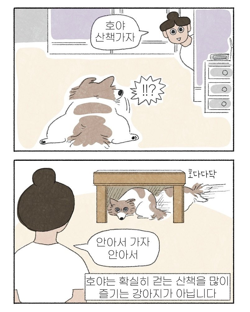 Photo by 이채소 on September 10, 2025. May be an illustration of slow loris and text that says '호야 산책가자 호다다닥 안아서 아서가자 가자 안아서 호야는 확실히 걷는 산책을 많이 즐기는 강아지가 아닙니다'.