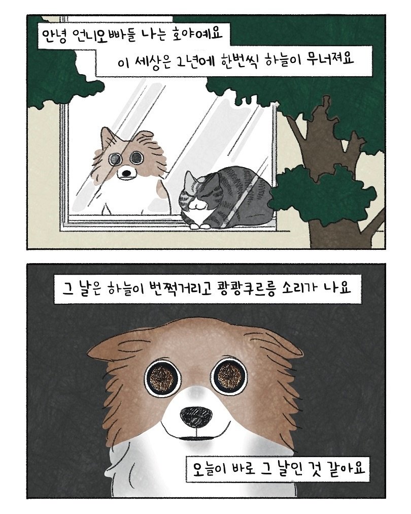 Photo by 이채소 on November 21, 2025. May be an illustration of slow loris, red panda, Pekinese, chihuahua, poster and text that says '안녕 언니오빠들 빠들 나는 호야예요 이 세상은 1년에 한번씩 하늘이 무너져요 그 날은 하늘이 번쩍거리고 광광쿠르릉 소리가나요 소리가 나요 요 오늘이 바로 그 날인 것 같아요'.