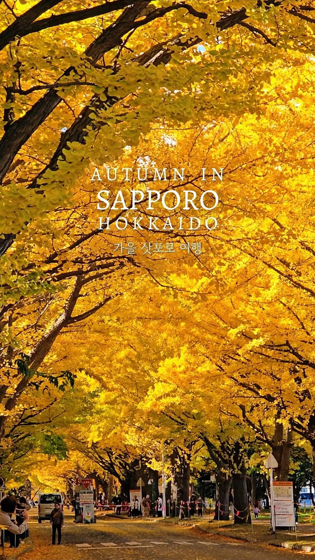 hozzangzzang_ 게시물 이미지: #공유 필수

한 달 뒤, 짐 싸 들고 단풍놀이하러 
삿포로로 떠나는 우리...