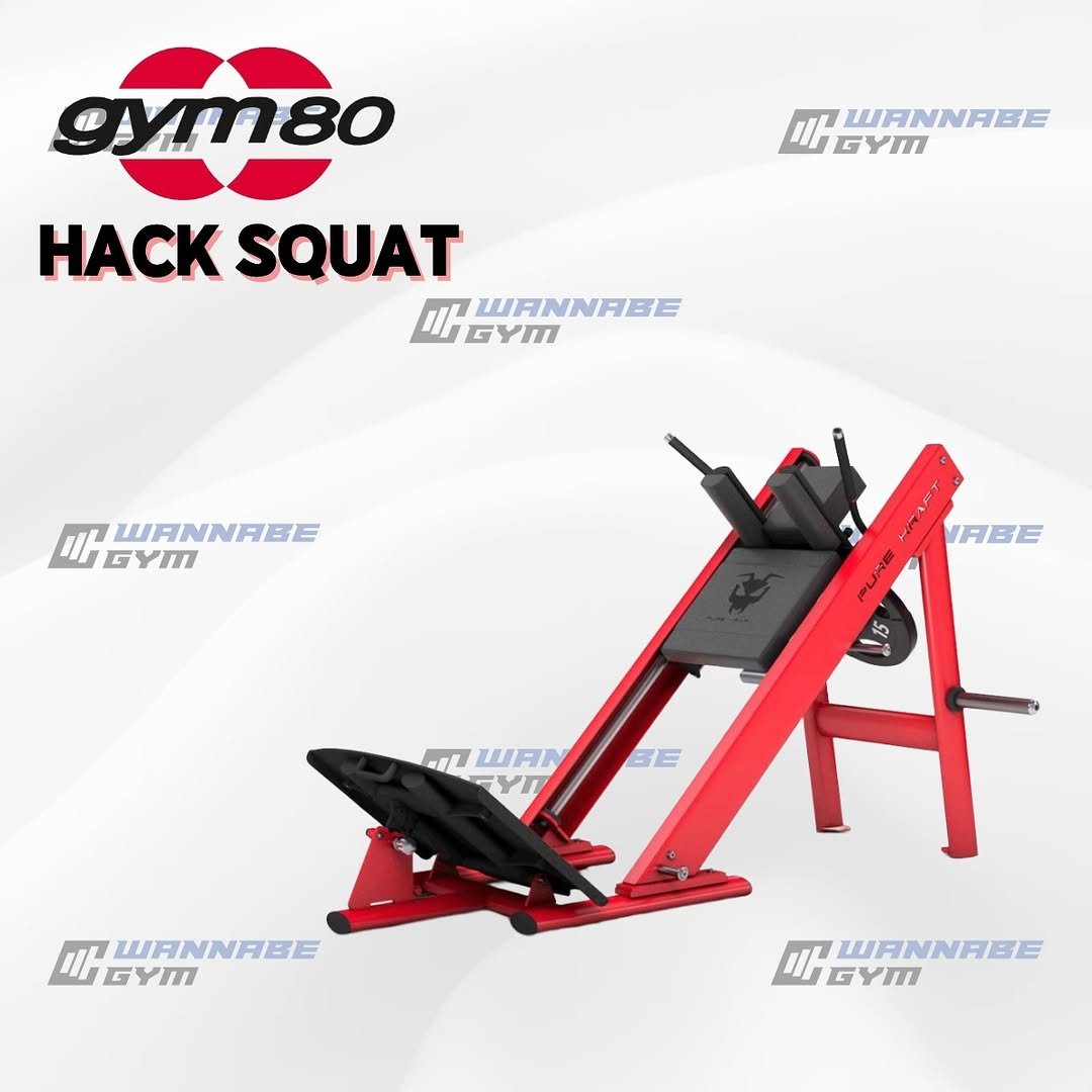 hpositive__ 게시물 이미지: #기구입고 #워너비짐 #짐80 #핵스쿼트 

🇩🇪 GYM80

🔥 HACK...