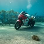 danny4to9 프로필 사진