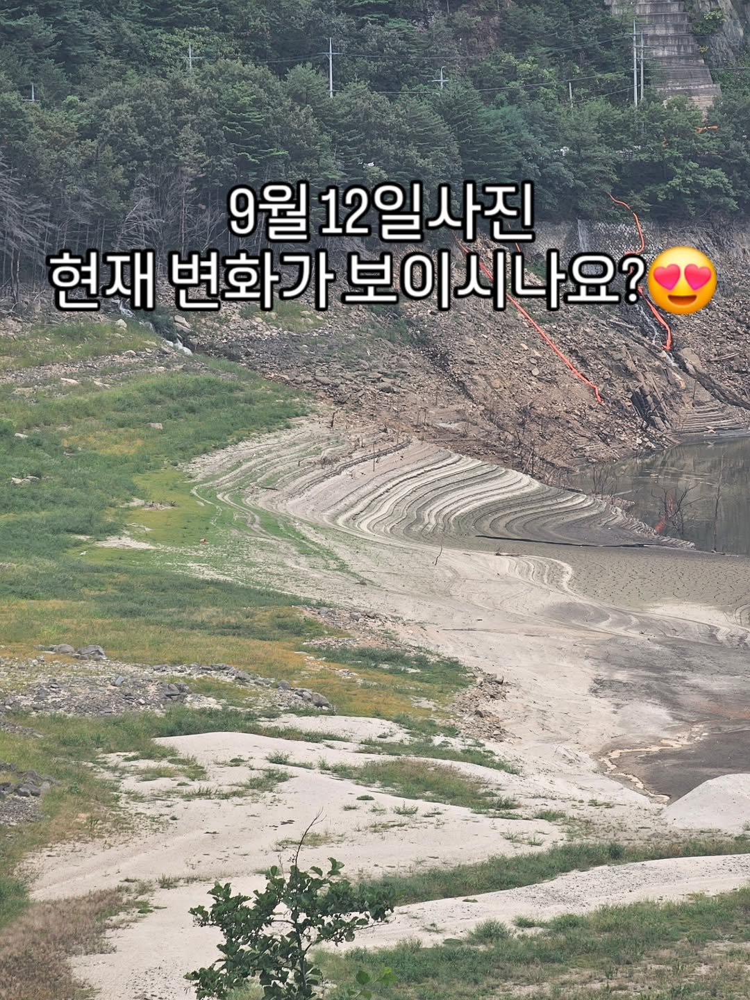 Photo by 강릉카페 강릉가볼만한곳 디저트카페 HU_C 허씨커피 on September 19, 2025. May be an image of outdoors and text that says '9월 월12일사진 12 현 재 현재 재변화가보이시 변화가 가보이시나요? 보이 시나요'.