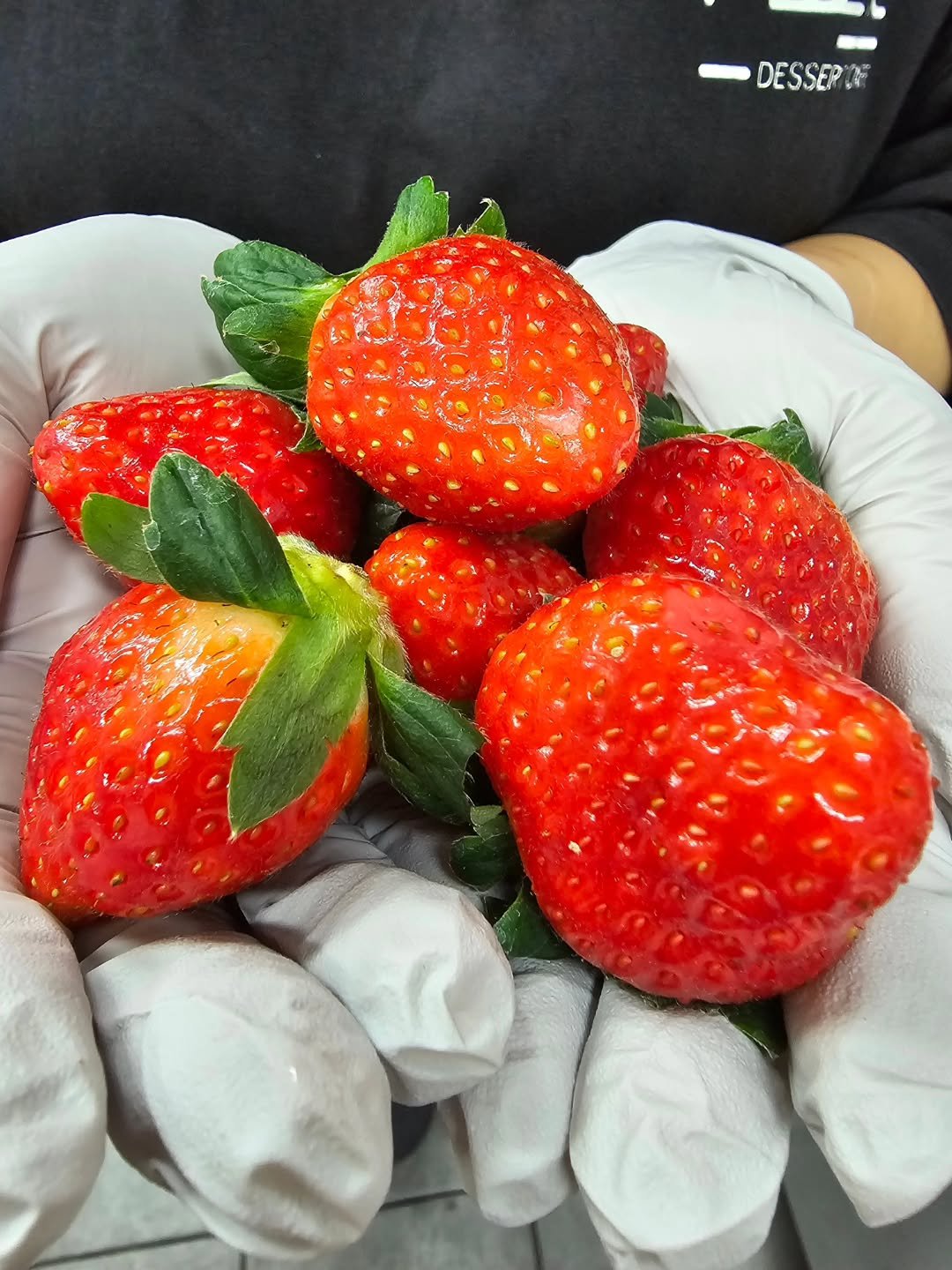 Photo by 강릉카페 강릉가볼만한곳 디저트카페 HU_C 허씨커피 in 허씨커피. May be an image of strawberry, fruit cocktail and text.