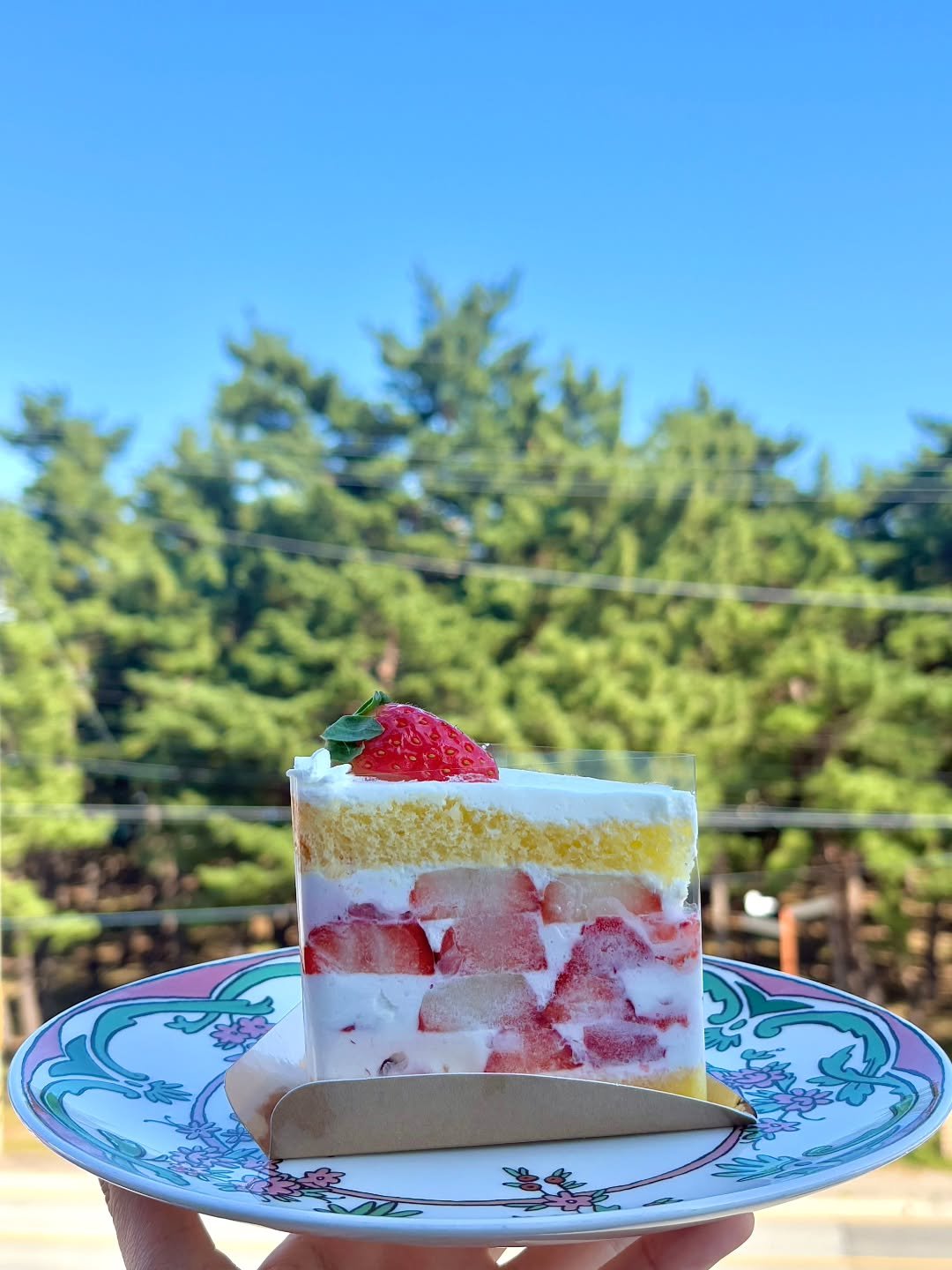 Photo by 강릉카페 강릉가볼만한곳 디저트카페 HU_C 허씨커피 in 허씨커피. May be an image of strawberry, chiffon cake, cheesecake, fruitcake and text.