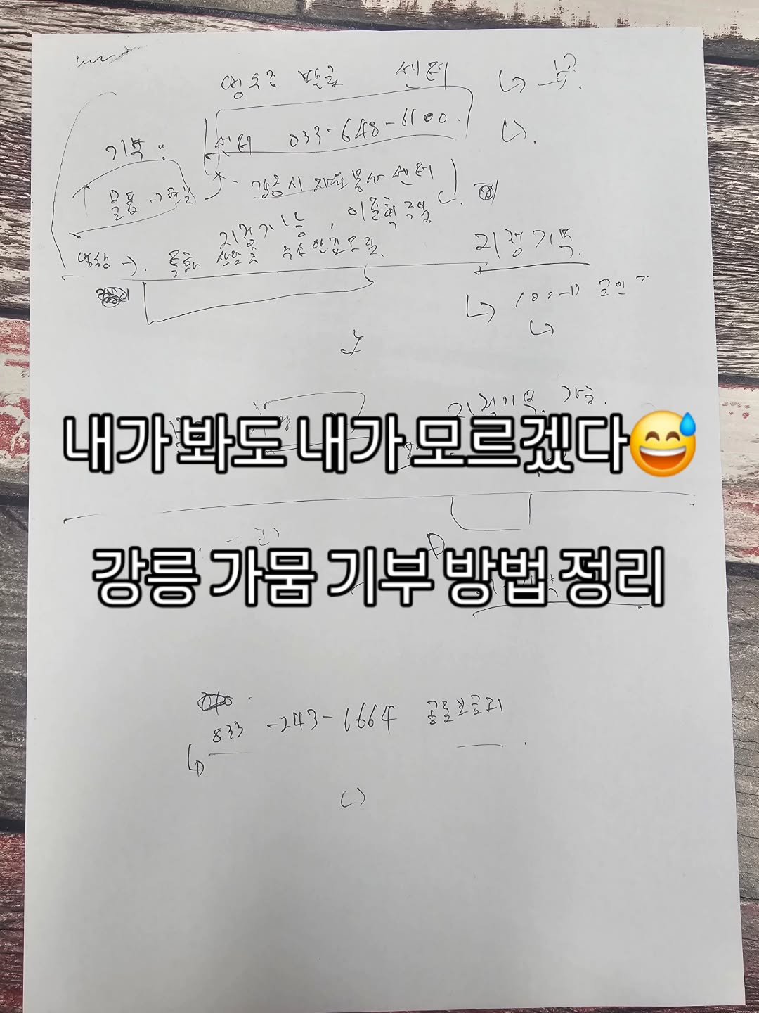 Photo by 강릉카페 강릉가볼만한곳 디저트카페 HU_C 허씨커피 on September 12, 2025. May be an image of text.