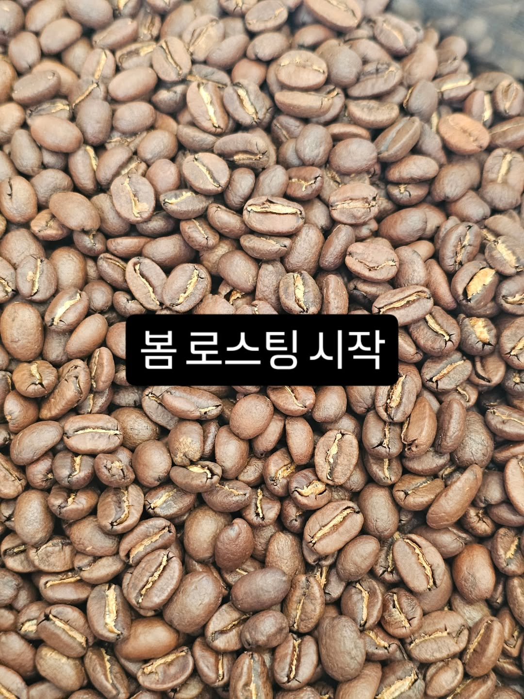 Photo by 강릉카페 강릉가볼만한곳 디저트카페 HU_C 허씨커피 on February 20, 2026. May be an image of coffee cup, cornflower and text that says '봄 봄로스팅시 로스팅 시작'.
