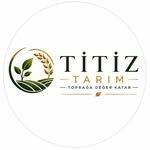 titiztarimtr 프로필 사진