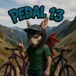 peda.l13 프로필 사진