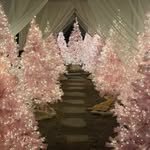 organic_cafe_ 프로필 사진