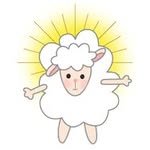 yanggu_tour 프로필 사진