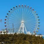 sokchoeye 프로필 사진