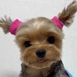 hi_mango._.o 프로필 사진