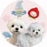 seol_ddalki 프로필 사진