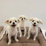 3da_malte 프로필 사진