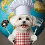 chef_molty 프로필 사진