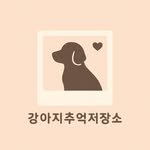 puppymemories_ 프로필 사진