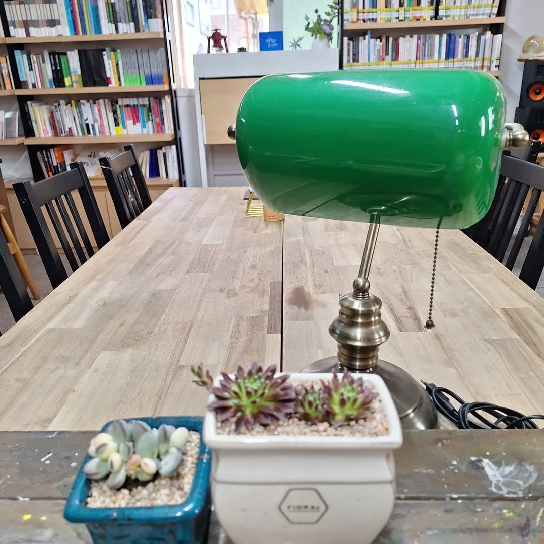 Photo by Hwaseoga Booksalon on May 31, 2025. May be an image of lamp, flower pot, lamp shade, lightbulb and house plant.