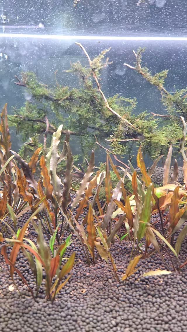 hwaseoga_booksalon 게시물 이미지: #복합문화공간 #화서가  #아쿠아스케이프 #Coming_soon  #독립서점...