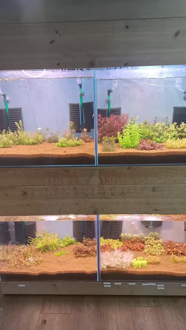 hwaseoga_booksalon 게시물 이미지: 복합문화공간 화서가_갤러리
#아쿠아스케이핑존 #아쿠아스케이프 #아쿠아스케이퍼_유일