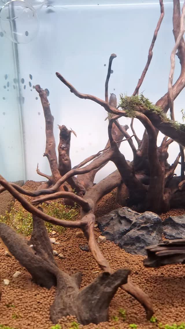 hwaseoga_booksalon 게시물 이미지: 복합문화공간 화서가_#아쿠아스케이프 
조금 달라졌을까요? ㅎ 
조만간 오픈될거예요.