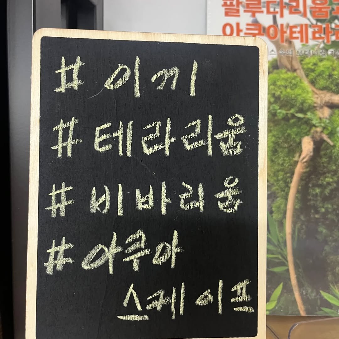 hwaseoga_booksalon 게시물 이미지: 시장통책방 _화서가 
코너1. #이끼 #테라리움 #비바리움 #아쿠아스케이프 #...